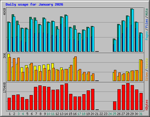 Daily usage for January 2026