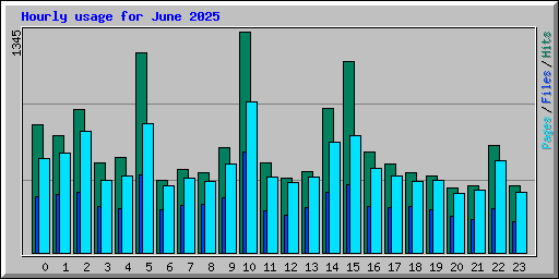 Hourly usage for June 2025