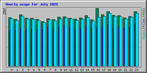 Hourly usage for July 2025