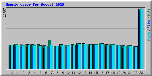 Hourly usage for August 2025