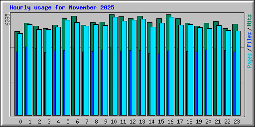 Hourly usage for November 2025