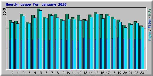 Hourly usage for January 2026