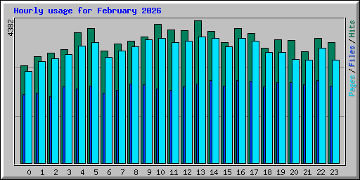 Hourly usage for February 2026